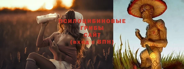 2c-b Медвежьегорск