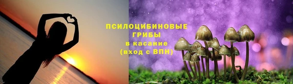 сатива Мегион