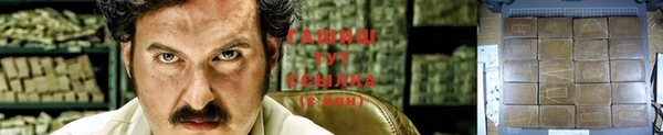 сатива Мегион