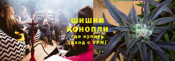 сатива Мегион