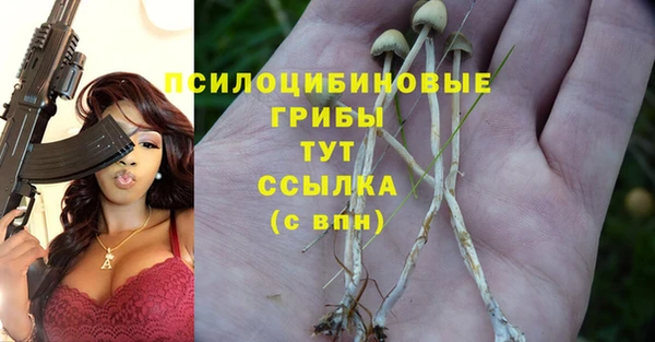сатива Мегион