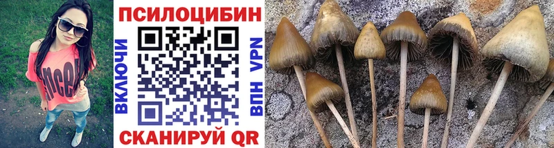 наркота  Среднеколымск  Галлюциногенные грибы мухоморы 